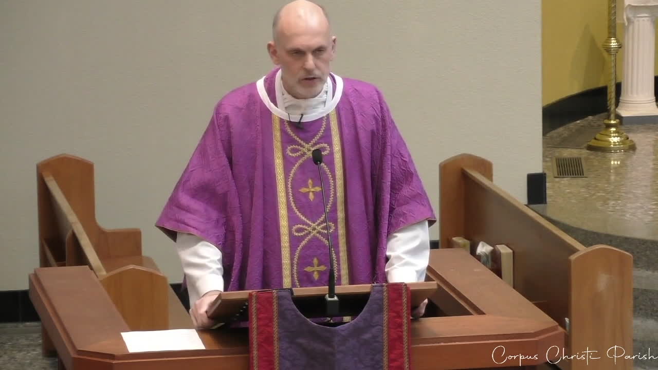 Which Message Will Dominate Your Advent Season? | Fr Hamilton | 1st Sunday of Advent