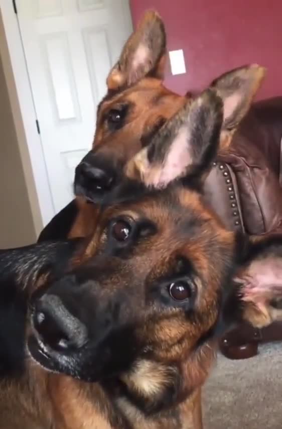 Did you say what we think you said?