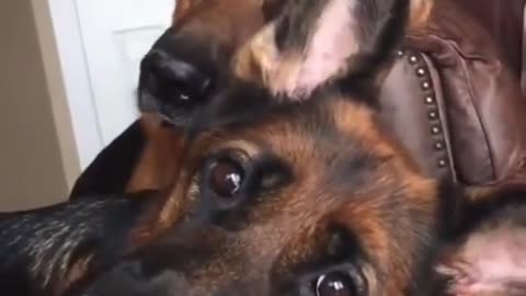 Did you say what we think you said?