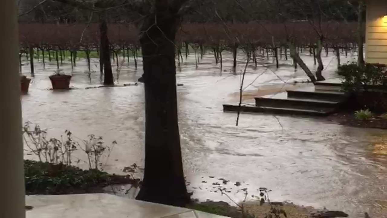 Napa (Oakville) Flooding 4