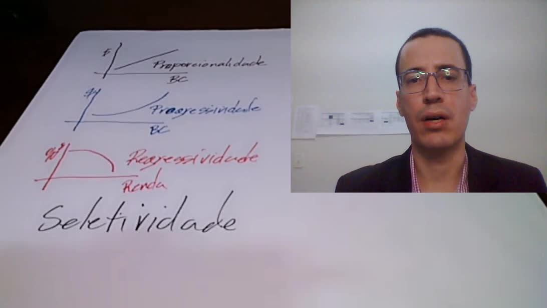 Princípio da capacidade contributiva no Direito Tributário