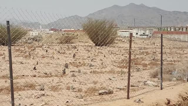 Badr ShuhdaeBadr شهداء بدر Martyrs of Badr Madinah Munawwarah badr madinah shuhdaebadr_1080p