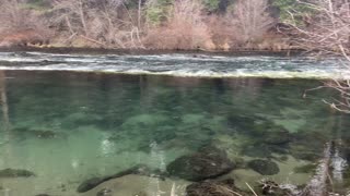 Infinity Pool Zone – Metolius River – Central Oregon