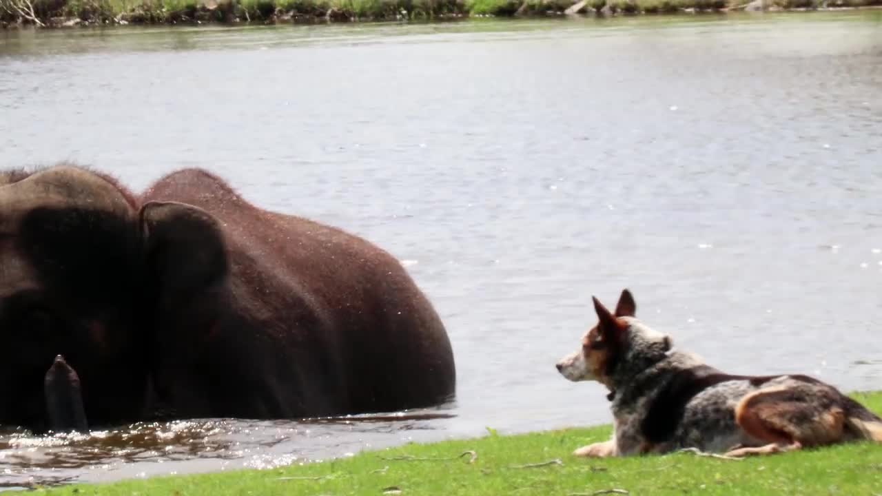 African Lion Safari - Ontario Canada