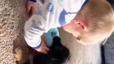 Baby and dog funny fight for eating on donalt cake, crazy and amazing moment