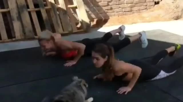 Dog Amazing Workout While Following Her Female Owner