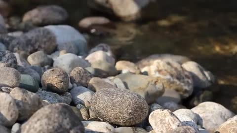 Relaxing Music | Sleeping, Meditation, Stress Relief | [279] ⭐️