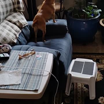 TC telling me off cause mom's not home.