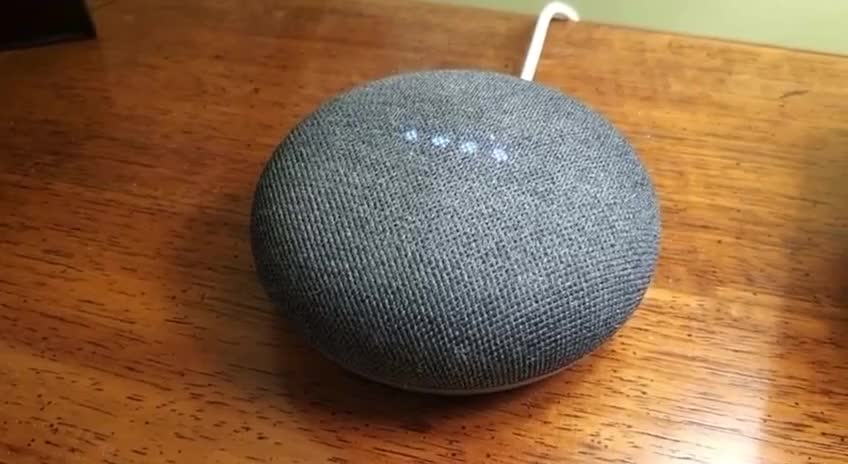 President Trump has been erased from existence- Google Nest has no information on 45th president.