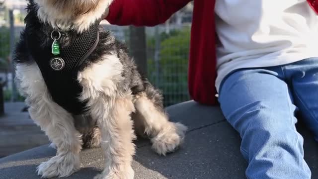 Puppy with children