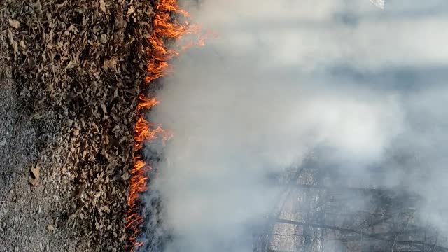 Spring cleaning control burn