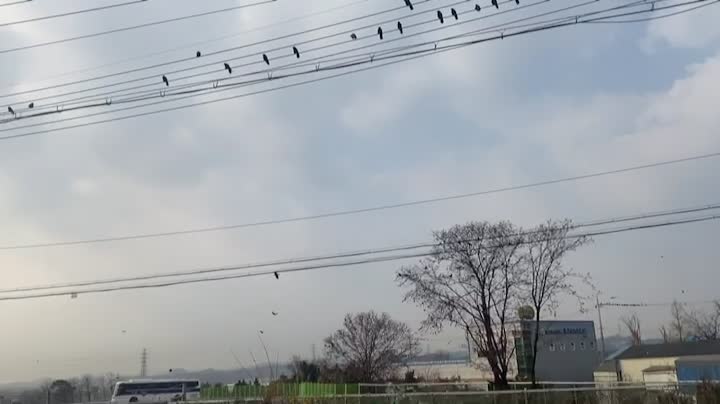 a crows's party