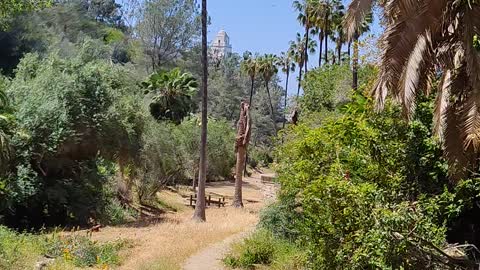 In the Heart of Presidio Park