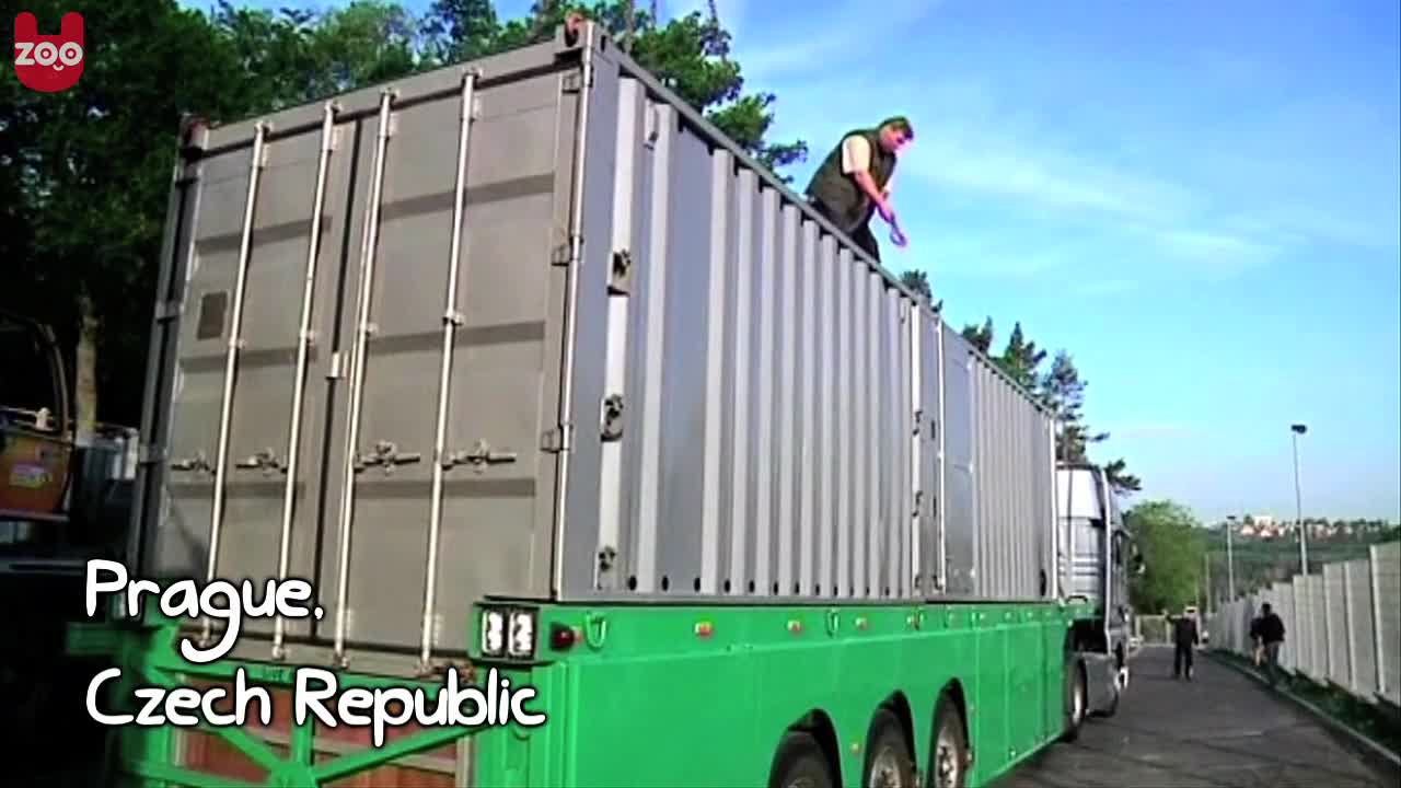 Elephants Arrive At Prague Zoo