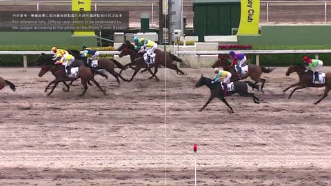 Horse_Race_2022061209_English
