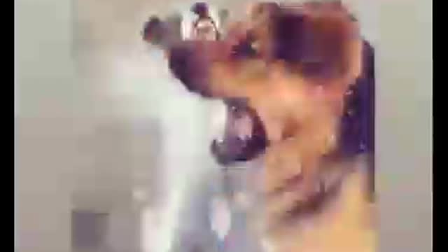 Dog funny Dance | Funny | Dog