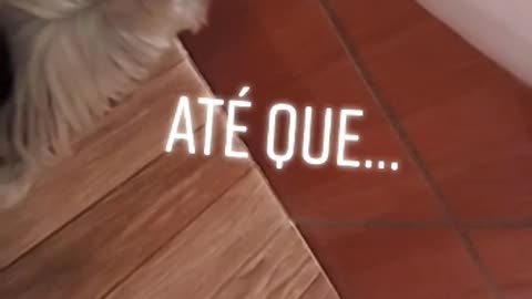 Me pegaram