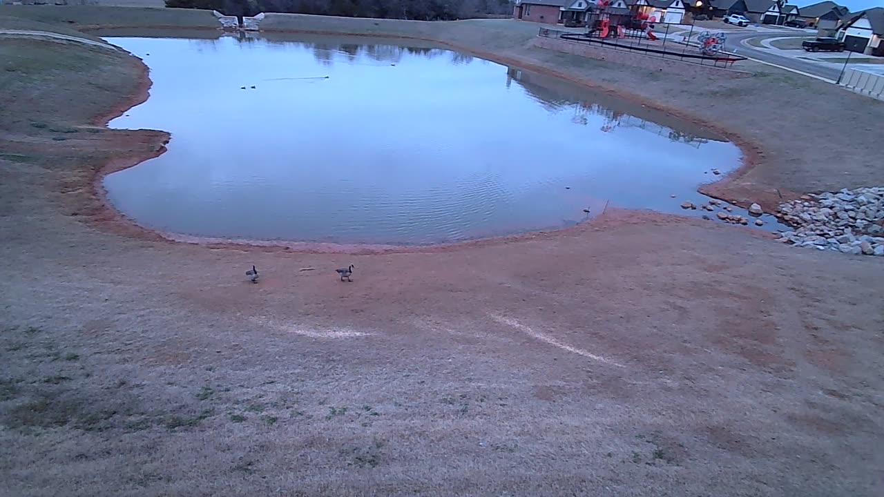 The Pond