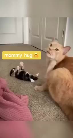 Mothers who have yet to grasp the concept of motherhood