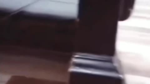 Imagine you are in a scary moment 😰😟