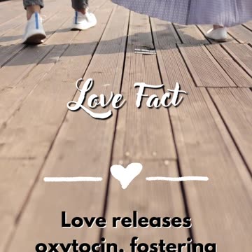 The Art of Forgiveness in Relationships