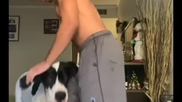 DUMBEST VIRAL TIKTOK VIDEOS
