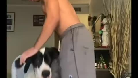 DUMBEST VIRAL TIKTOK VIDEOS