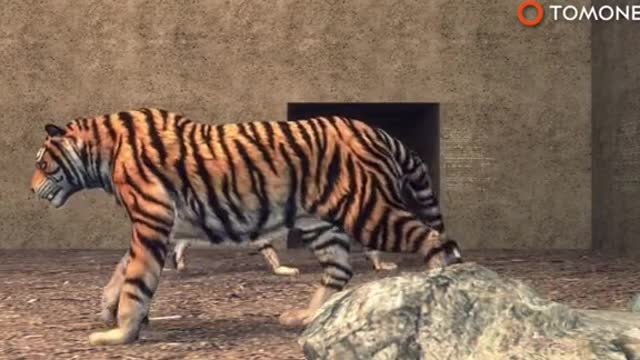 The keeper had worked there for 20 years and loved his animals