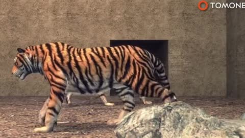 The keeper had worked there for 20 years and loved his animals