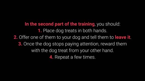 Basic Dog Training – TOP 10 Essential Commands Every Dog Should Know! - 2021 - 7