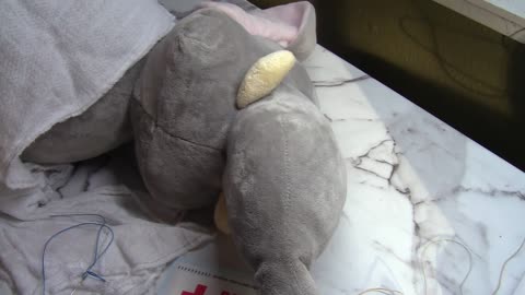 Princess El'Fant Surgery