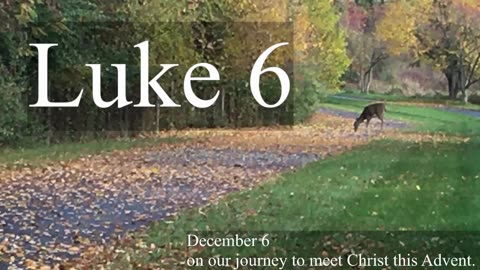 Luke 6