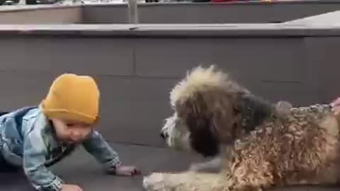 Cute baby and cute dog 🐕