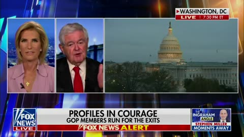 Newt Gingrich: "The hardliners on the Right have done nothing but make it worse.