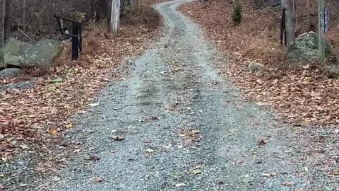 21. Walking up a mountain to fix one chair
