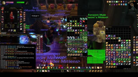 Turtle Wow - MM weekly BWL - 4 July - Paladin POV - no commentary