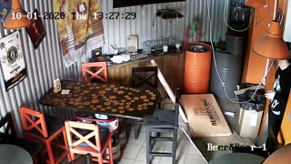 Cat Falls Through Ceiling into Tasting Room