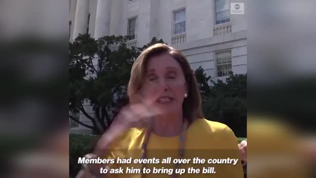 Watch Pelosi Lose It When Reporter Blames Dems For Gun Control Inaction