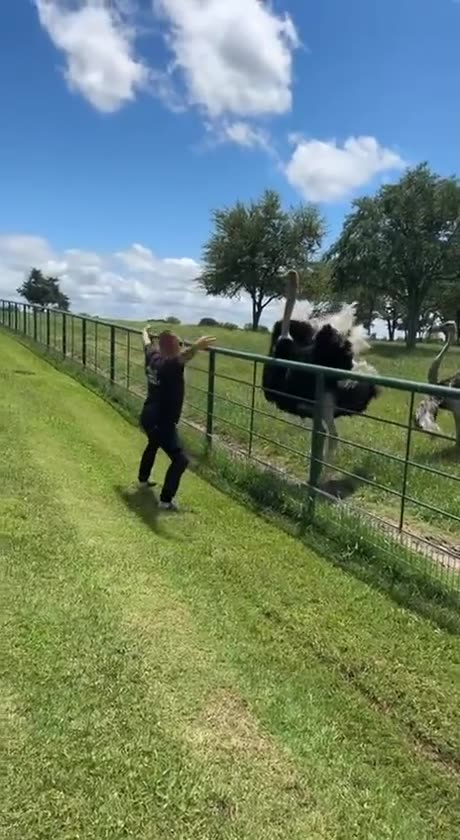 Everyone get down and boogie 😊