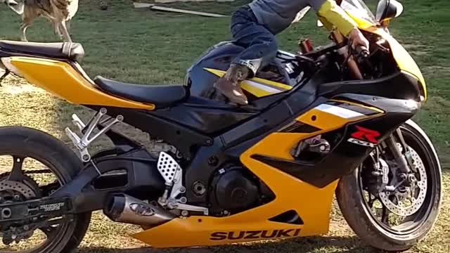 05 gsxr rev limiter