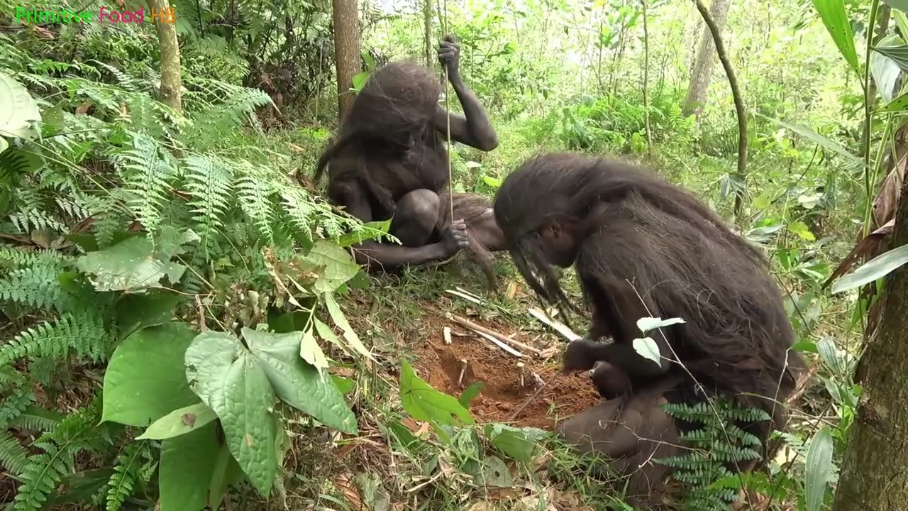 Primitive life - Forest People - Animal trapping skills of forest people