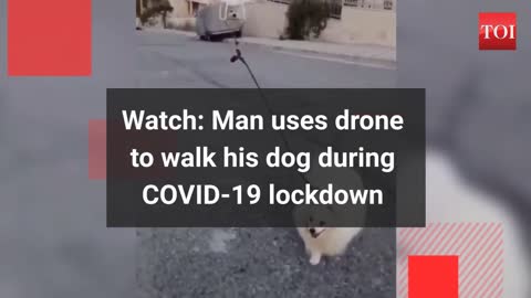 Watch# Man uses drone to walk his dog during COVID-19 lockdown