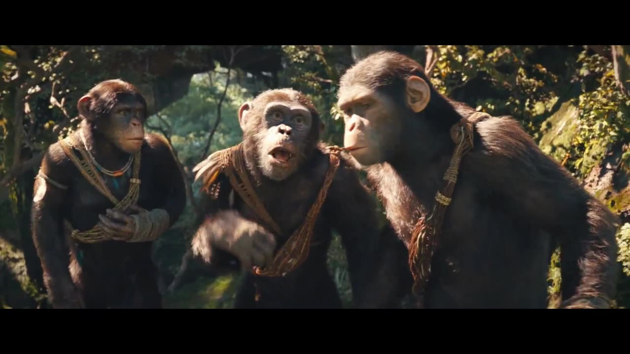 The Adventures of Monkey life