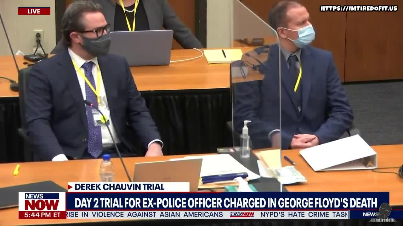 Judge Clear Jury, Scolds Witness, Genevieve Jansen, in Derek Chauvin trial