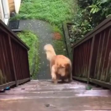 Gold job first it was like access denied, but he found a way around