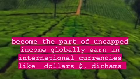 Want to earn international currencies? Comment “HOW”