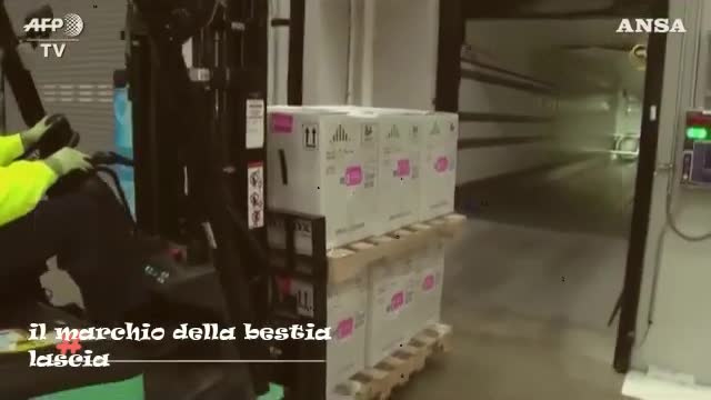 il marchio della bestia