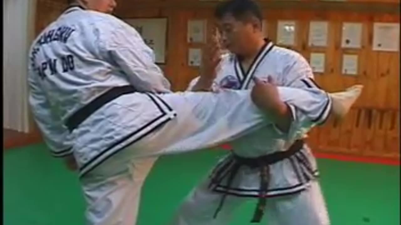 Hapkido