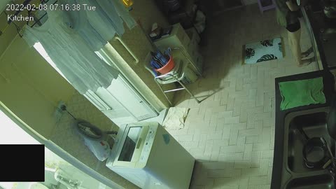 kitchen midnight 20220208