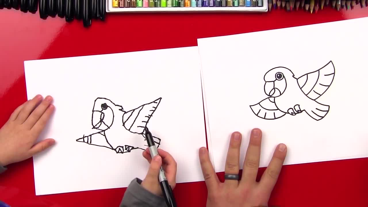 HowToDrawACartoonParrotp13